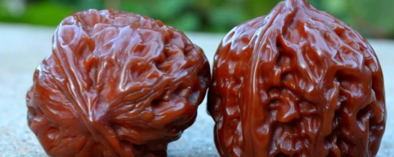 文玩核桃几月份成熟采摘 文玩核桃什么时间采摘