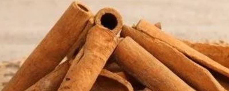 肉桂和水仙的区别（茶叶肉桂和水仙的区别）