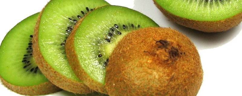 江山猕猴桃产地哪里 江山猕猴桃属于什么水果