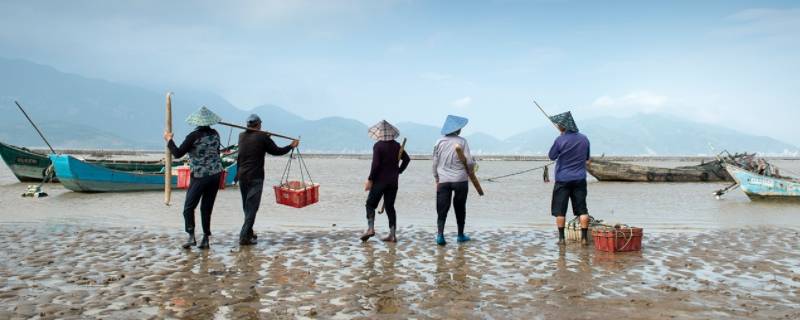 中潮和小潮不适合赶海吗（中潮和小潮赶海的区别）