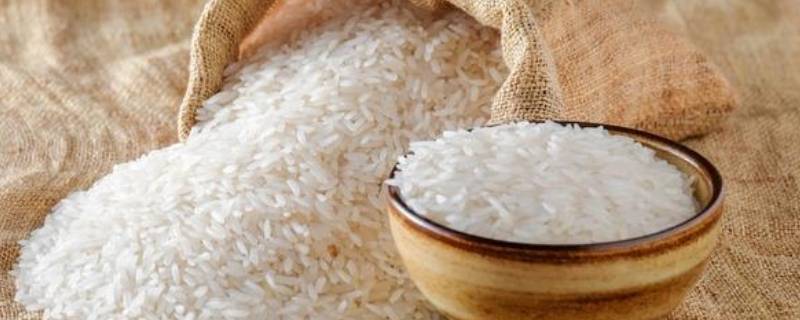 黍米和小米有什么区别（黍与小米的区别）