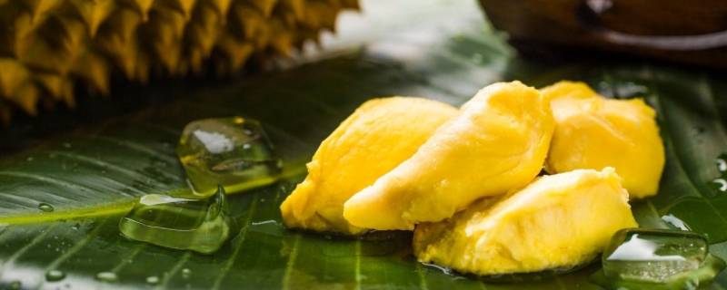 榴莲的营养（榴莲的营养价值有多高）