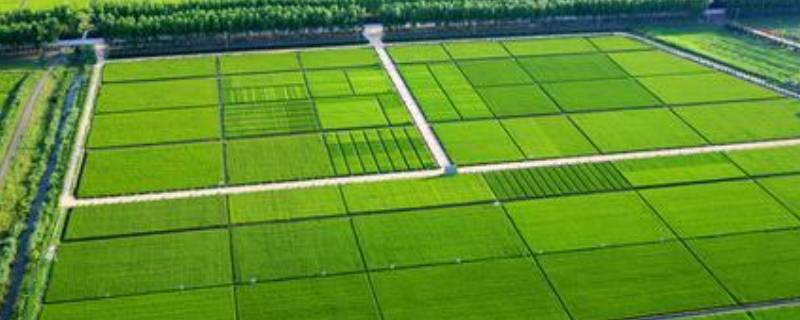 耕地是指的什么地 一般耕地指的是什么地