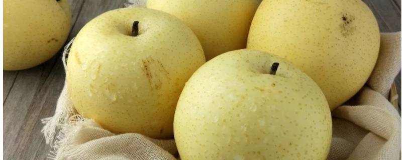 皇冠梨几月份成熟 皇冠梨几月份成熟?