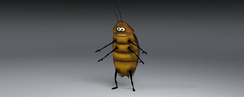 蟑螂为何会出现在卧室（蟑螂为什么会出现在卧室）