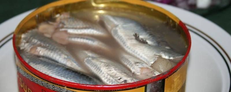 鲱鱼罐头是什么味道（鲅鱼罐头什么味道）