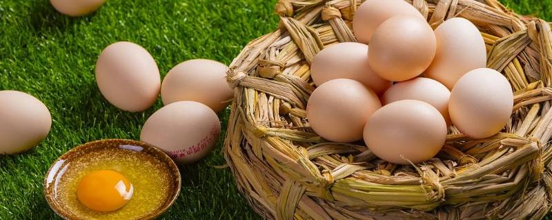 怎么保护鸡蛋（怎么保护鸡蛋从二楼扔下不碎）