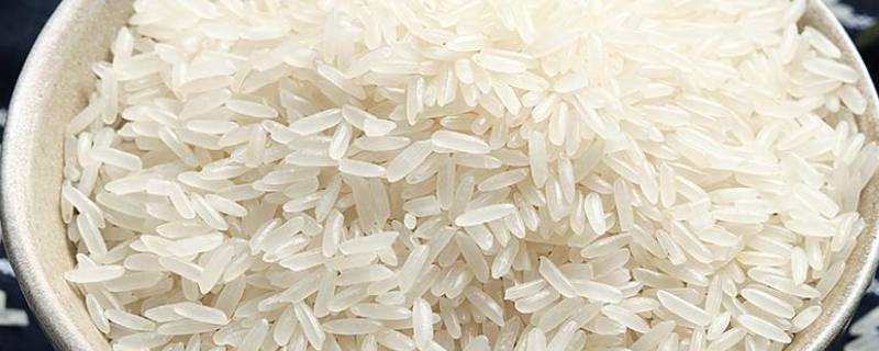 灿米和粳米有什么区别（籼米与粳米哪个好吃）