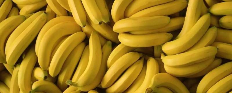 香蕉有辐射吗 香蕉有辐射吗?