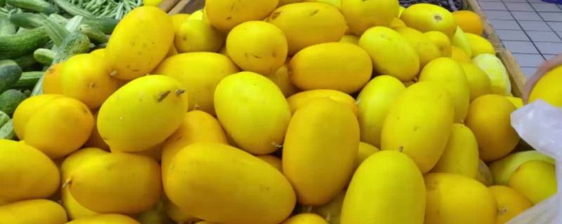 黄色的水果有哪些东西 黄色的水果有哪些东西树上的