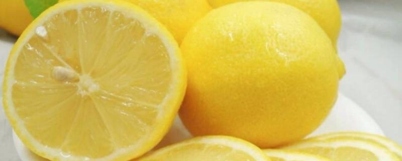 柠檬片和鲜柠檬的区别 鲜柠檬片和干柠檬片的区别