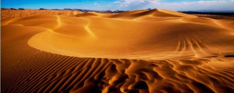 沙漠的危险（撒哈拉沙漠的危险）