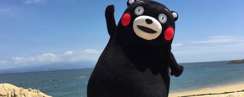 日本熊玩偶叫什么 日本熊猫玩偶