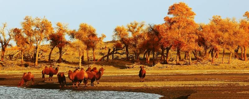 伊吾县景点 伊吾县旅游景点