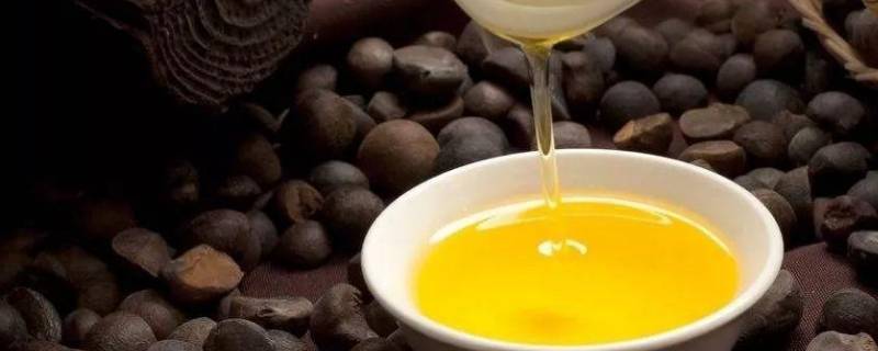 茶籽油怎么食用 茶籽油怎么食用比较好?