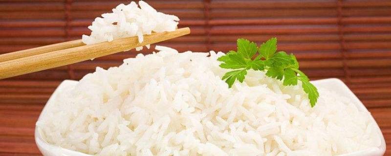 蒸米饭的比例是多少 蒸米饭米和饭的比例