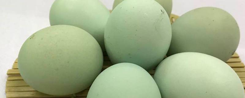 绿皮鸡蛋是什么品种鸡 绿皮鸡蛋是什么品种鸡一年产多少蛋