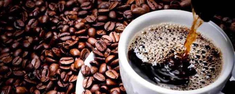 磨好的咖啡粉怎么保存 咖啡粉磨出来怎么存放