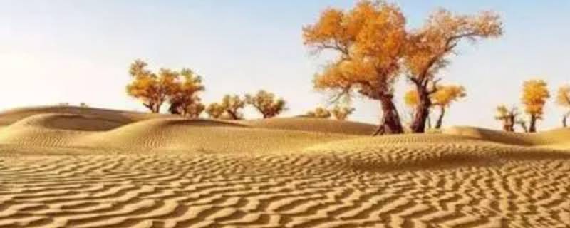 塔克拉玛干沙漠在哪 塔克拉玛干沙漠在哪个地形区