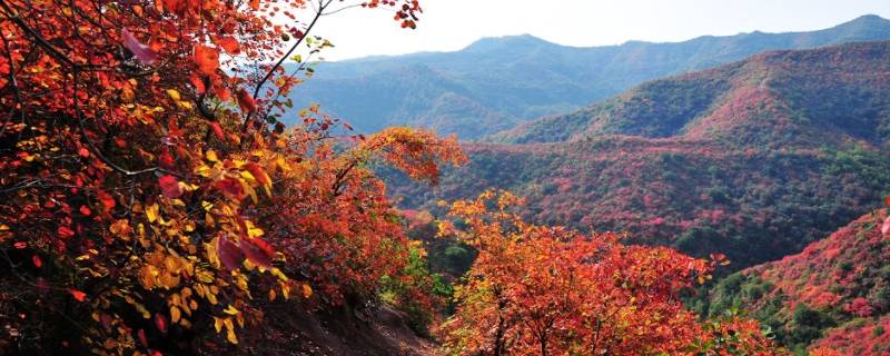 韩城市景点 韩城市景点介绍