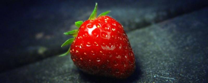 草莓的生长习性（草莓的生长环境和生长特征）