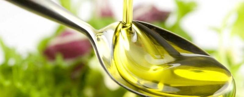 榄橄榄油怎么吃 榄橄榄油怎么吃橄榄油怎么保存