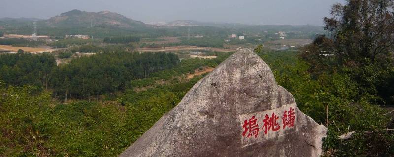 漳浦县景点（福建省漳州市漳浦县旅游景点）