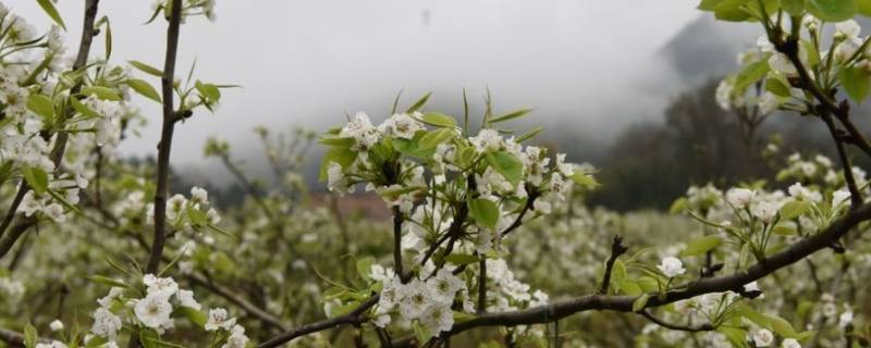 新都区景点（新都区景点大全）