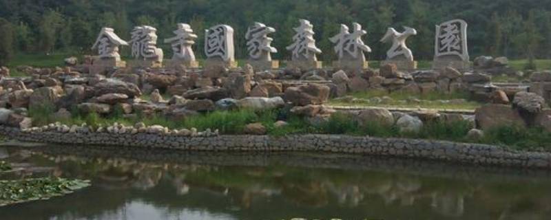 甘井子区景点（甘井子区景点有哪些）