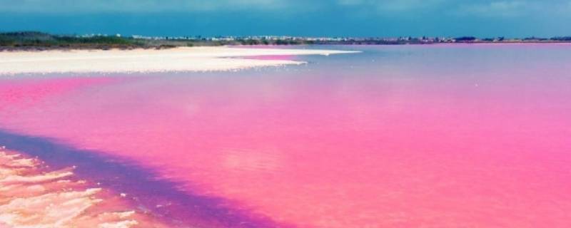 人工粉色沙滩是怎么形成的（粉色沙滩是人工合成的吗）