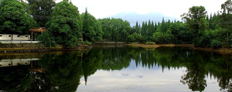 绵竹市景点（绵竹市景点排行）