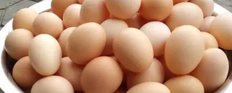 夏天4种方法保存鸡蛋 鸡蛋夏天怎么保存