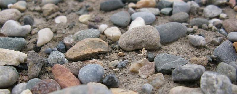 海边透明的石头是玉吗 海边的石头有玉吗