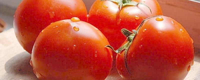 番茄能放多久 切开的番茄能放多久