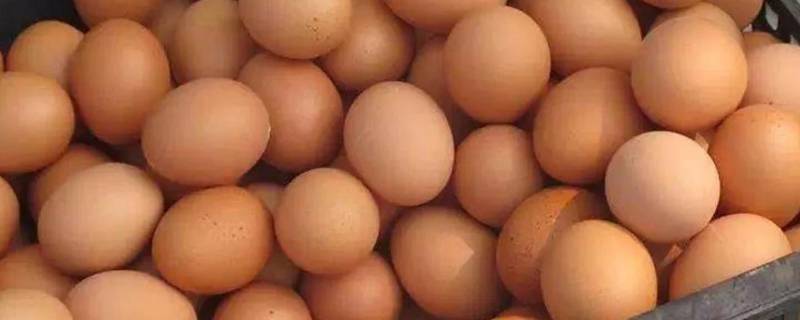 土鸡蛋外壳脏怎样清洗 土鸡蛋外壳脏洗了可以放多久