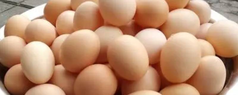 熟鸡蛋能放多久（夏天熟鸡蛋能放多久）