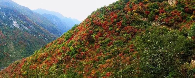 略阳县景点 略阳旅游景点大全略阳县城周边旅游景点?