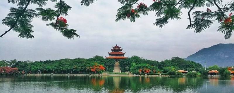 鲤城区景点 泉州鲤城区的景点