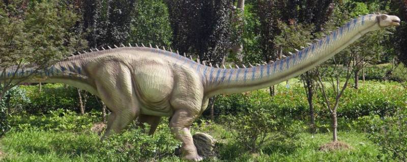 白垩纪恐龙有哪些（白垩纪恐龙有哪些特征）