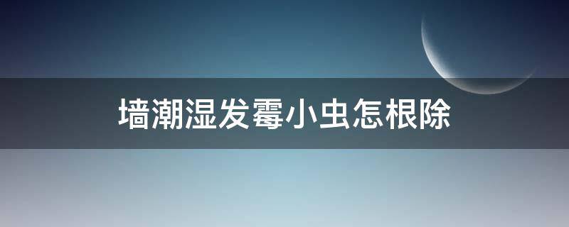 墙潮湿发霉小虫怎根除 墙面潮湿有小虫子怎么处理