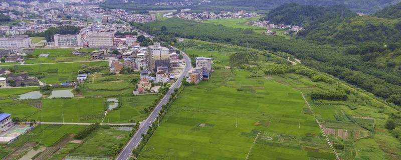 蒲田镇是哪个省 蒲田市是哪省