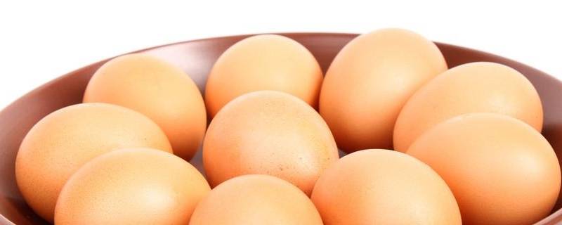 鸡蛋为何叫木须（木须是鸡蛋的意思吗）