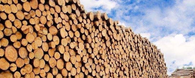 木材分类（木材分类与等级划分）