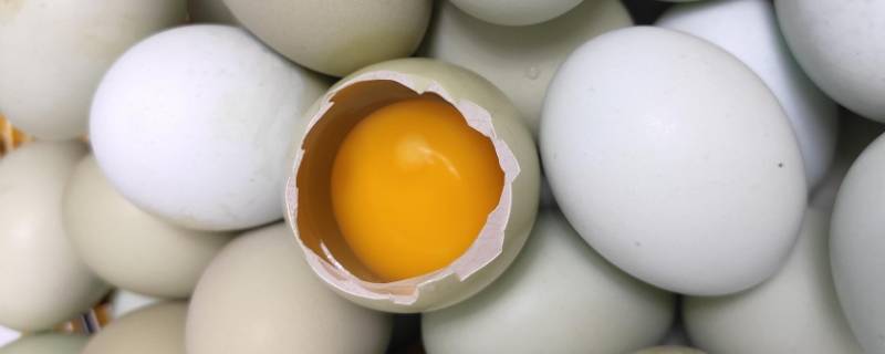 为什么鸡蛋在盐水中会浮起来 为什么在盐水中鸡蛋会浮起来?