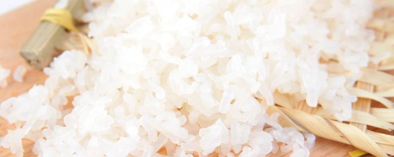 魔芋米可以长期代替米饭吗 洋芋可以代替米饭吗