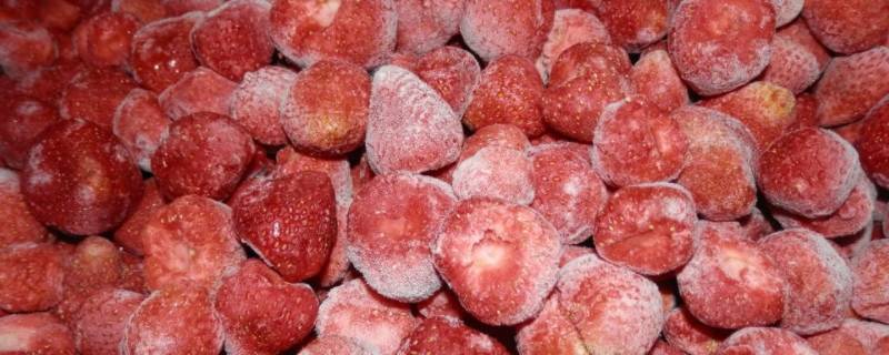 冻草莓可以存放多久（草莓放冰箱冷冻可以放多久）