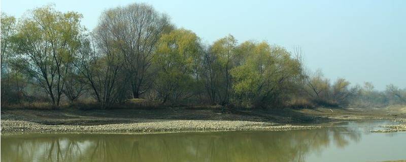 灞河源头在哪 灞河源头在哪里?