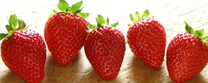 草莓营养 草莓营养成分含量表