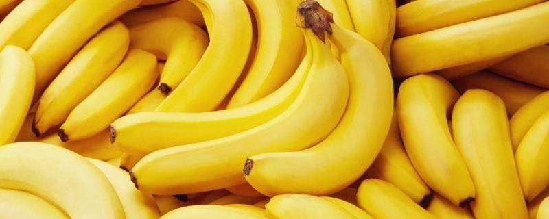 进口香蕉和国产香蕉区别（进口香蕉和国产香蕉外观区别）
