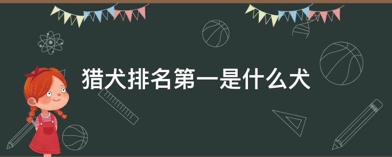 猎犬排名第一是什么犬 排名第一的猎犬